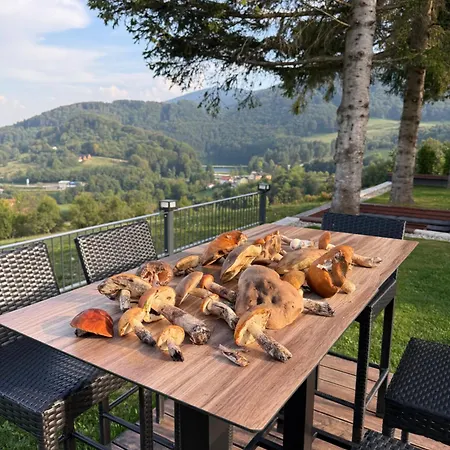 Villa Mountain House Lisinska Rosa Brdo